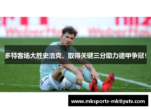 多特客场大胜史浩克，取得关键三分助力德甲争冠！